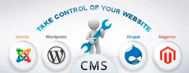 Which Content Management System Do You Use?