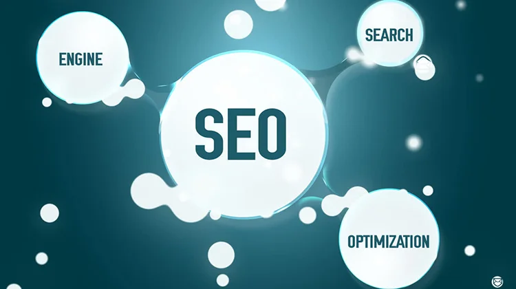 How to choose a professional SEO service for your business website