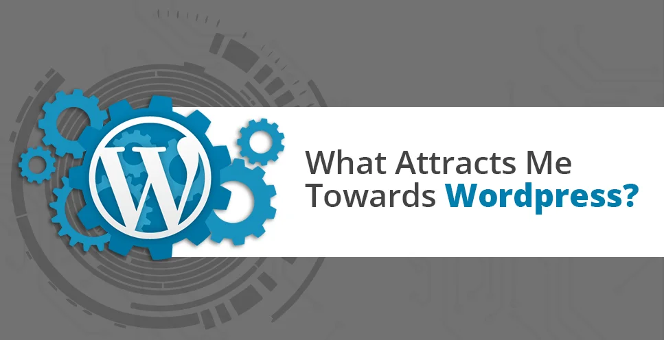 What Attracts Me Towards WordPress?